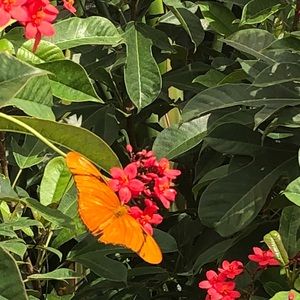 Meet your Posher, Rhonda